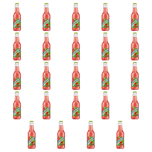 Tymbark Napój malina mięta 250 ml X24